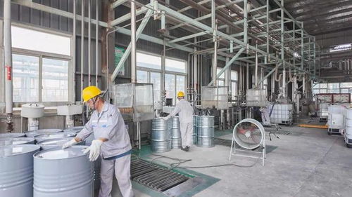 年產(chǎn)34800噸日用百貨改擴(kuò)建項(xiàng)目9月試生產(chǎn)，助推濱海產(chǎn)業(yè)升級(jí)