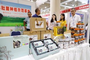 魚臺79家企業亮相省城，生態農產品與保潔服務雙星閃耀